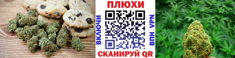 Cannafood марихуана  Купить закладки  Новосокольники 