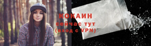 прущие грибы Нея