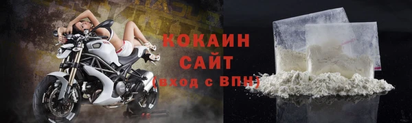 прущие грибы Нея