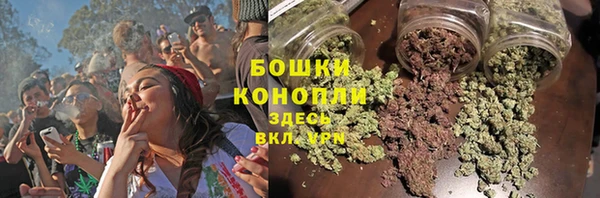прущие грибы Нея