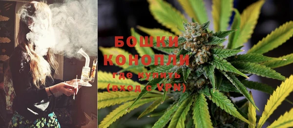 прущие грибы Нея