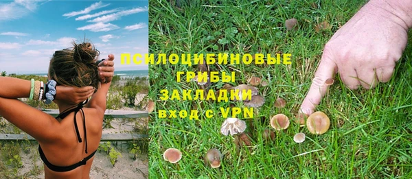 трава Нефтекумск